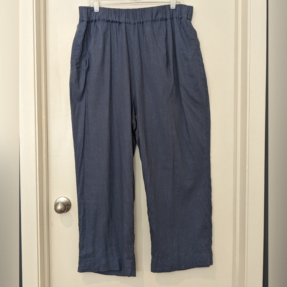 Universal Standard Blue Pants
